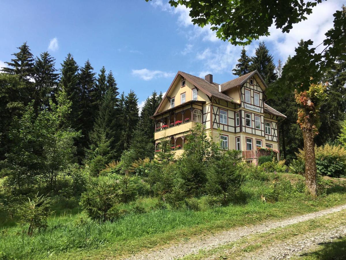 ベンネッケンシュタインHaus Sonnenblickアパートメント エクステリア 写真